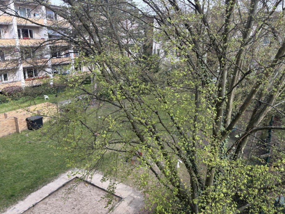 Balkonblick Etagenwohnung Berlin